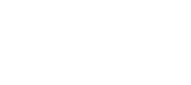 rapiergroup logo