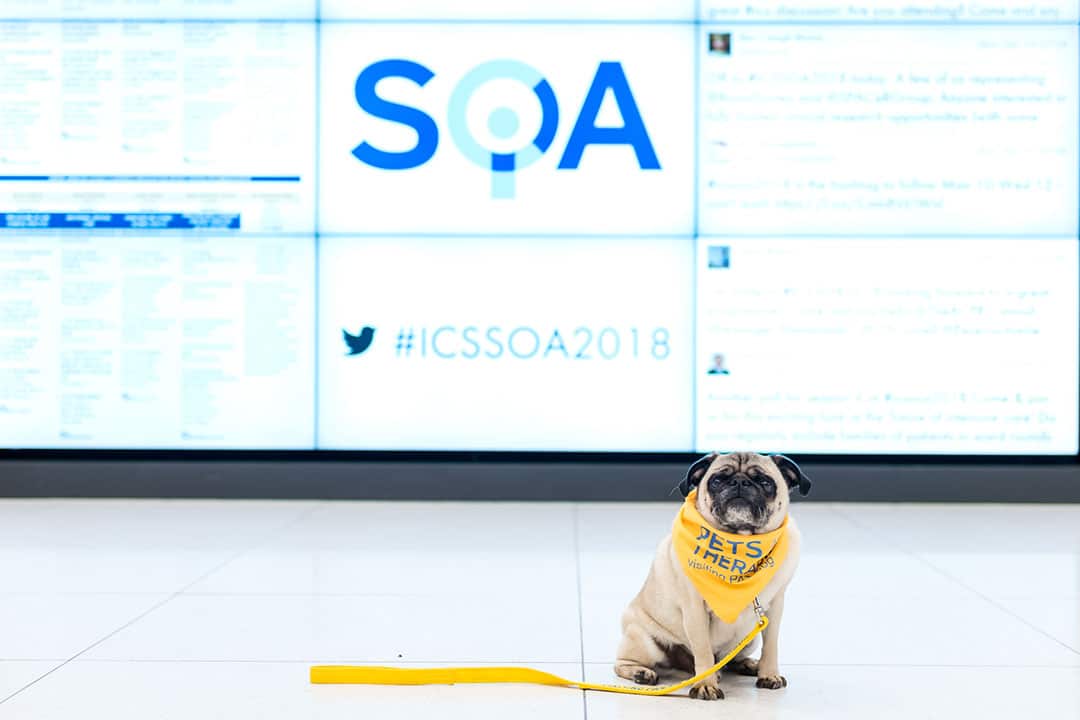 SOA 2018
